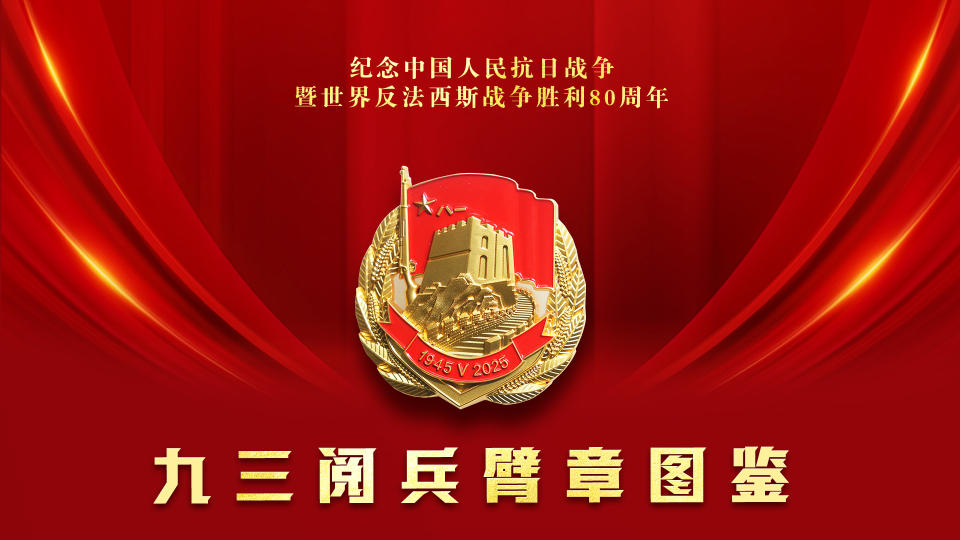 請收藏！九三閱兵臂章圖鑒