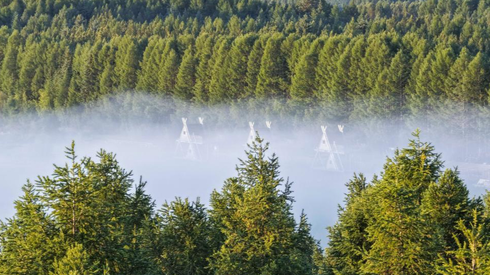 新華鮮報 | 春已至！“植”綠山河