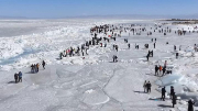 冰雪游樂(lè)受青睞 青海湖旅游熱度不減