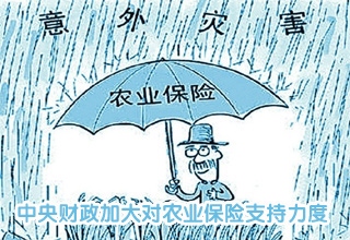 中央財(cái)政加大對農(nóng)業(yè)保險支持力度