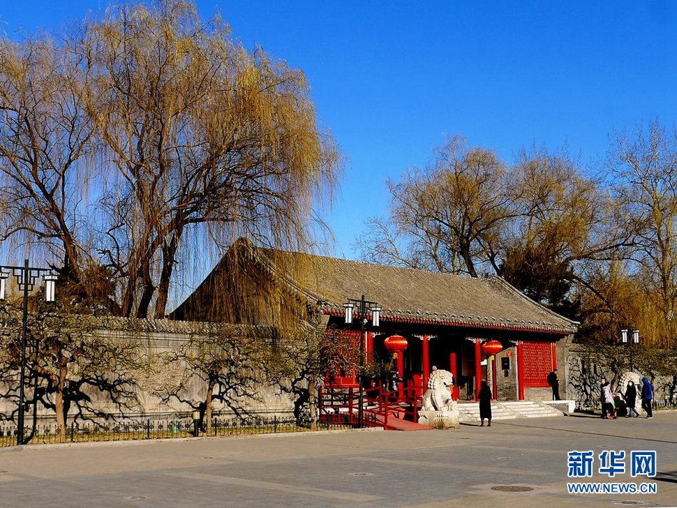 冬至，漫步大觀園