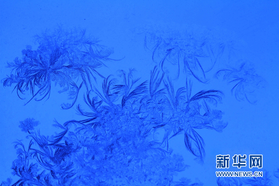 忽如一夜寒冬來，千家萬戶窗花開