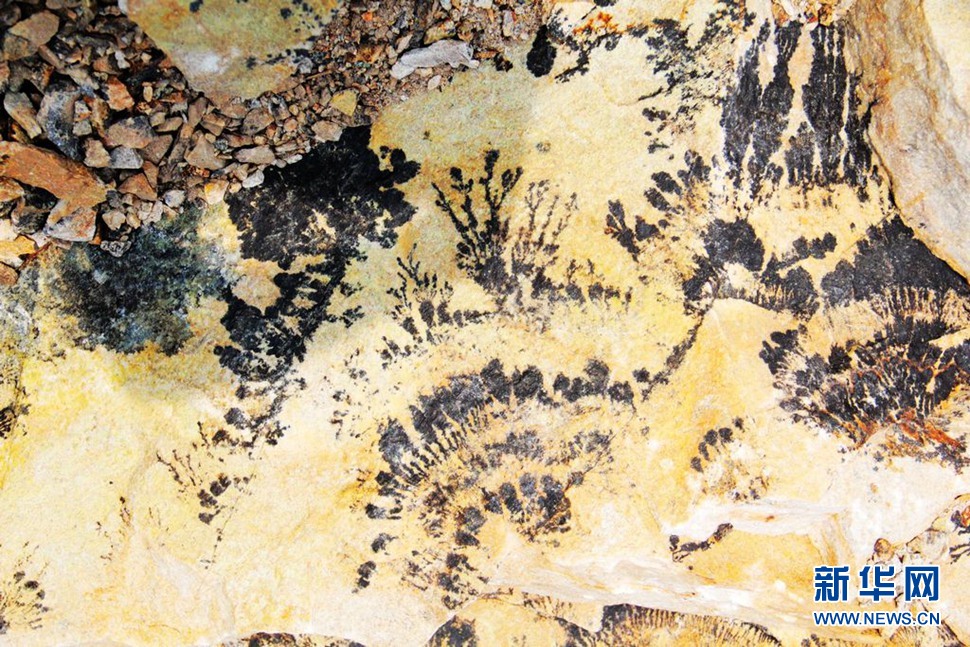 山東蓬萊巖石壁畫