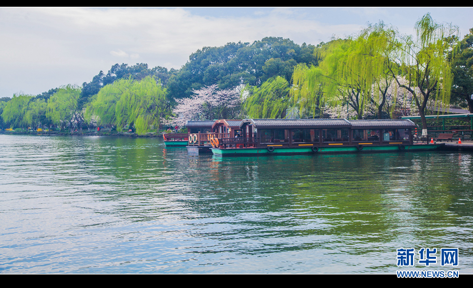 聽風(fēng)西湖柳，聞香龍井茶
