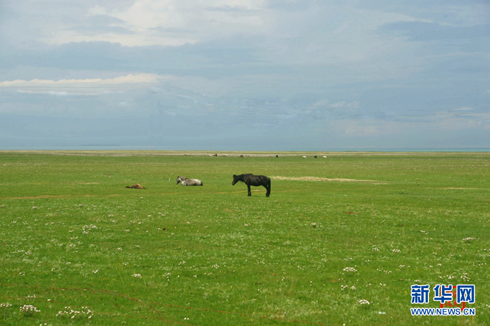 高原放歌之那山、那寺、那朵云