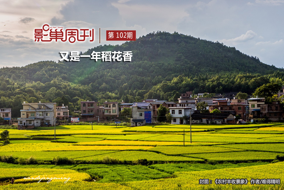 農(nóng)村豐收景象