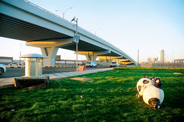 巴格達(dá)的椰棗樹(shù)