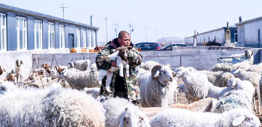 易地搬遷讓村民“住得好、能致富”