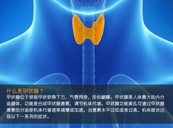 關(guān)注甲狀腺健康，你應(yīng)該知道的那些事