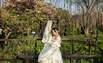 徜徉櫻花花海，來場(chǎng)動(dòng)漫之旅