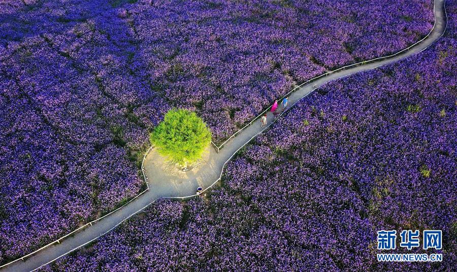 （十九大&middot;讀報告 話民生）（7）加快生態(tài)文明體制改革，建設(shè)美麗中國