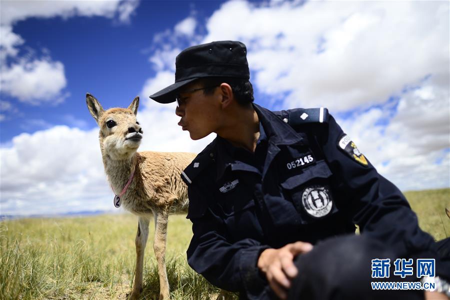 （十九大&middot;讀報告 話民生）（8）加快生態(tài)文明體制改革，建設(shè)美麗中國