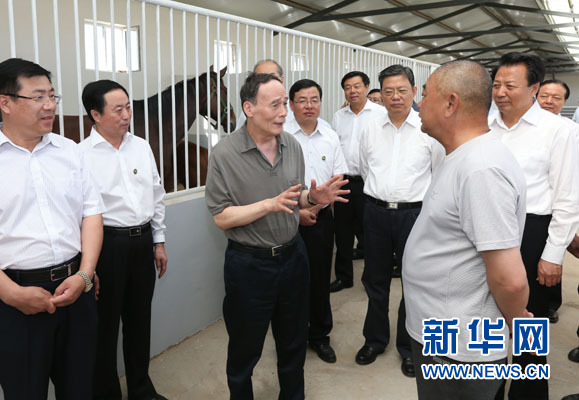 這是7月3日，王岐山在錫林浩特市義合良種馬繁育基地考察。新華社記者 龐興雷 攝