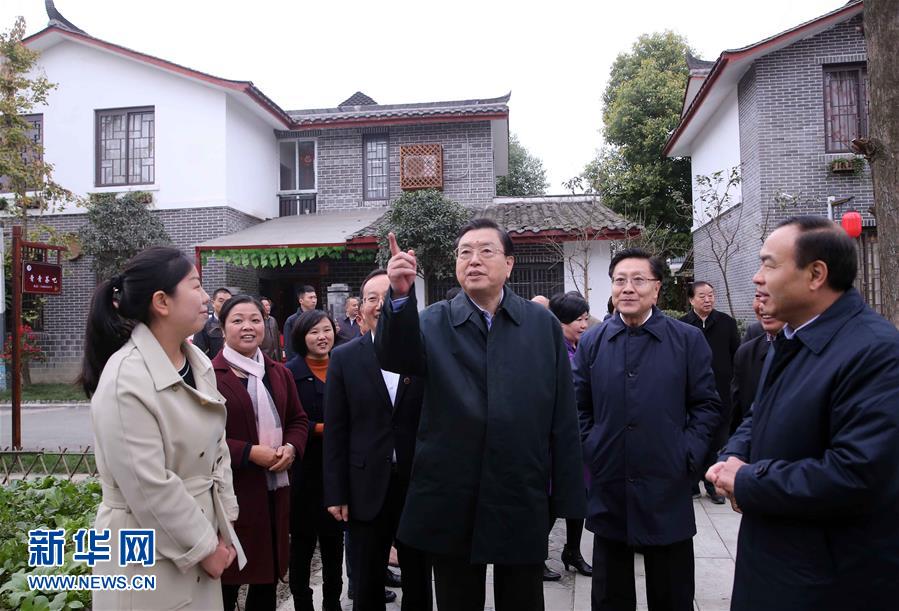 這是11月22日，張德江來到成都郫縣青杠樹村，了解村民委員會(huì)工作情況。 新華社記者 劉衛(wèi)兵 攝 