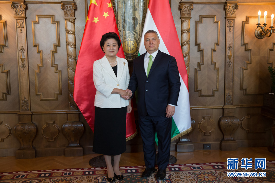  6月21日，國(guó)務(wù)院副總理劉延?xùn)|（左）在匈牙利布達(dá)佩斯國(guó)會(huì)大廈會(huì)見(jiàn)匈牙利總理歐爾班。 新華社發(fā)（弗爾季·奧蒂洛攝）