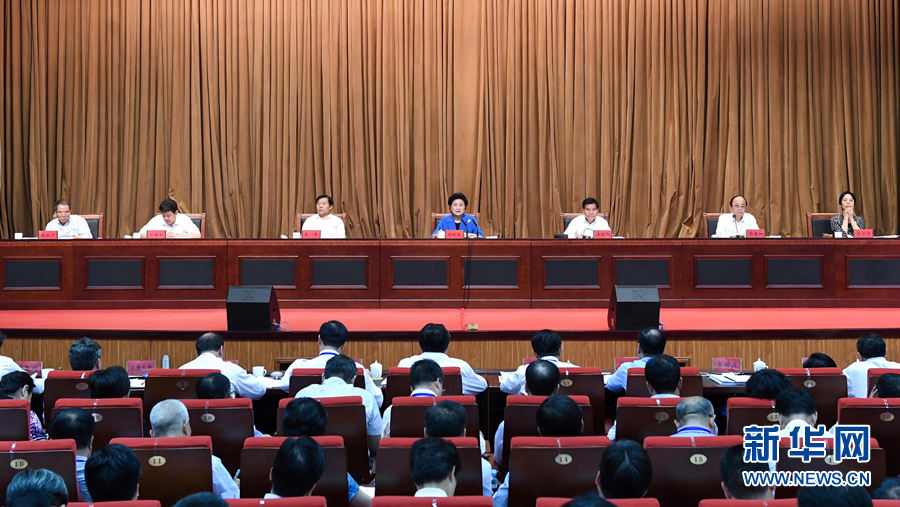 6月25日，全國(guó)民族團(tuán)結(jié)進(jìn)步創(chuàng)建經(jīng)驗(yàn)交流現(xiàn)場(chǎng)會(huì)在內(nèi)蒙古興安盟召開(kāi)，中共中央政治局委員、國(guó)務(wù)院副總理劉延?xùn)|出席會(huì)議并講話。 新華社記者 陳曄華 攝