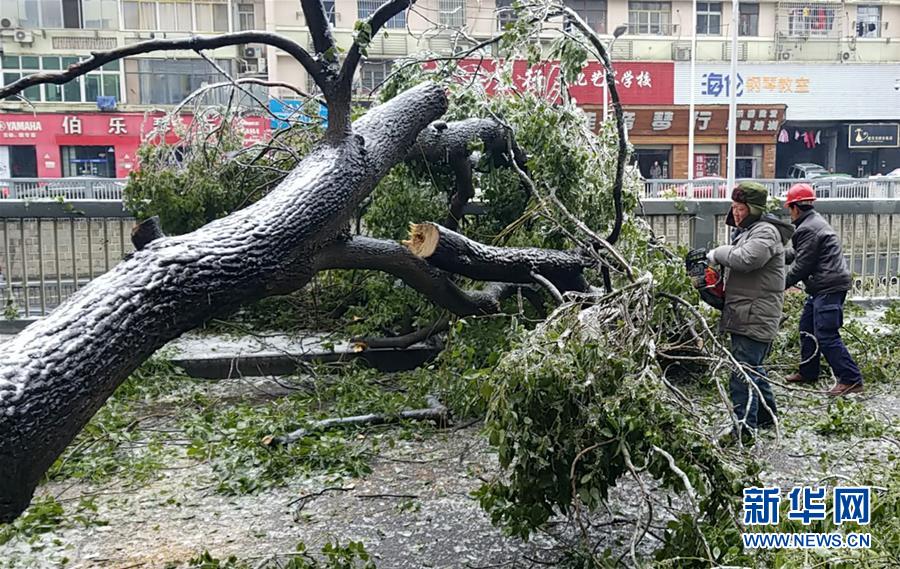（新華全媒頭條）（7）雨雪冰凍中，他們奮力前行——基層黨員干群抗擊冰雪災(zāi)害紀(jì)實(shí)