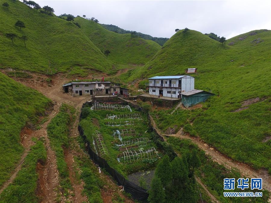 （新華全媒頭條·圖文互動）（3）一個人，一座山——劉真茂的生命守望