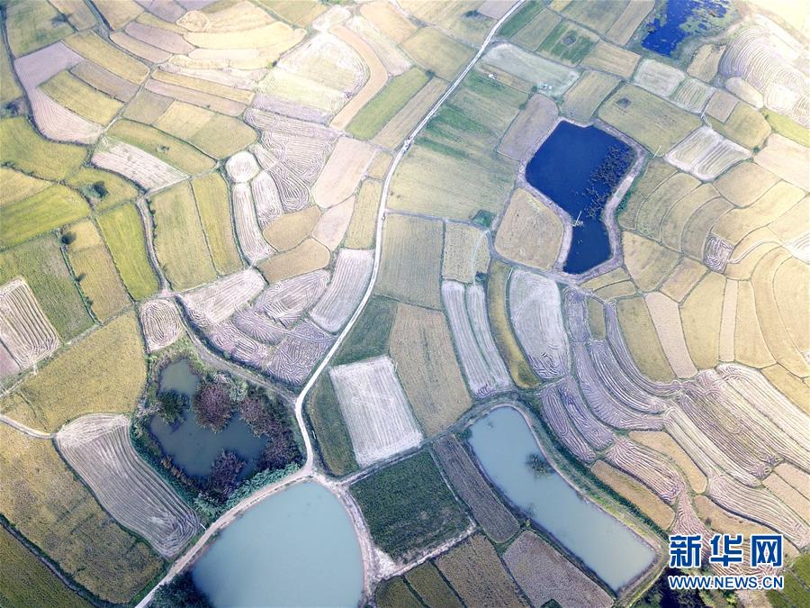 （新華全媒頭條·壯闊東方潮　奮進(jìn)新時代——慶祝改革開放40年·圖文互動）（2）小崗，與時代同行——“中國農(nóng)村改革第一村”40年變遷的改革啟示