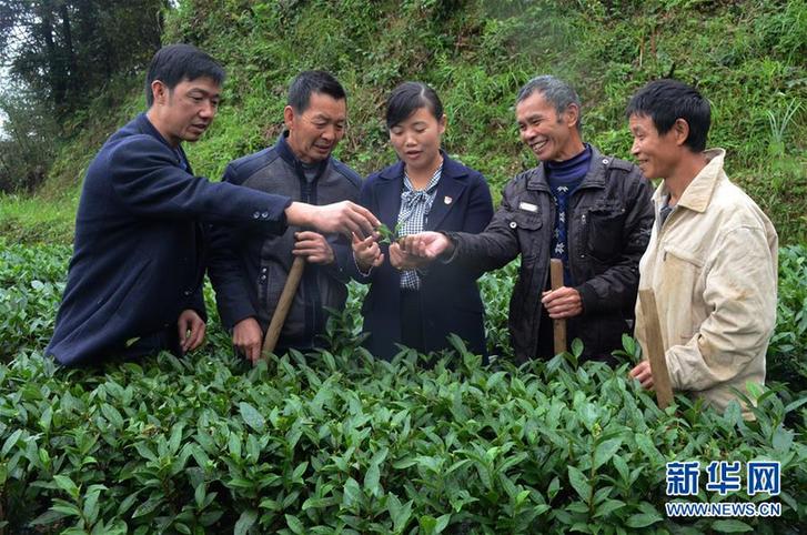（新時代擔(dān)當作為典型風(fēng)采·圖文互動）（2）梁金華：為民辦事就是自己最大的價值 