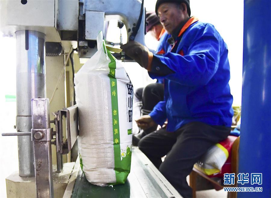 （在習(xí)近平新時(shí)代中國特色社會主義思想指引下&mdash;&mdash;新時(shí)代新作為新篇章&middot;鄉(xiāng)村振興戰(zhàn)略&middot;圖文互動）（3）吉林榆樹：產(chǎn)糧&ldquo;冠軍縣&rdquo;大旱之年從容應(yīng)對減產(chǎn)考驗(yàn)