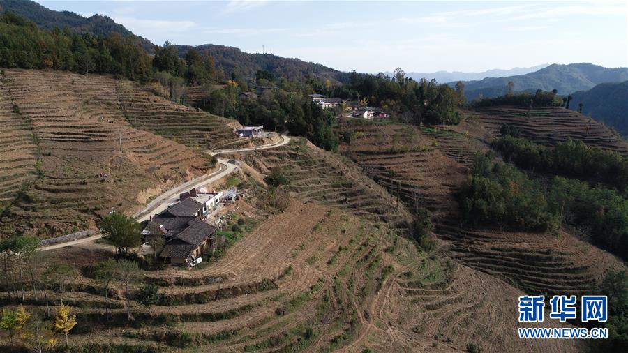 （在習(xí)近平新時(shí)代中國特色社會(huì)主義思想指引下&middot;慶祝改革開放40周年&middot;共享發(fā)展&middot;圖文互動(dòng)）（3）&ldquo;浙江親人&rdquo;請(qǐng)心安 白茶苗已種滿山&mdash;&mdash;浙江安吉捐贈(zèng)四川青川白茶苗種植地探訪