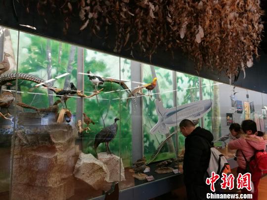 圖為展覽現(xiàn)場(chǎng)?！『h(yuǎn)航 攝