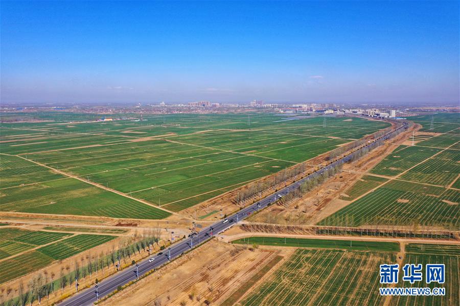 （新華全媒頭條·圖文互動）（2）奮進，向著未來之城！——河北雄安新區(qū)建設發(fā)展兩周年紀實