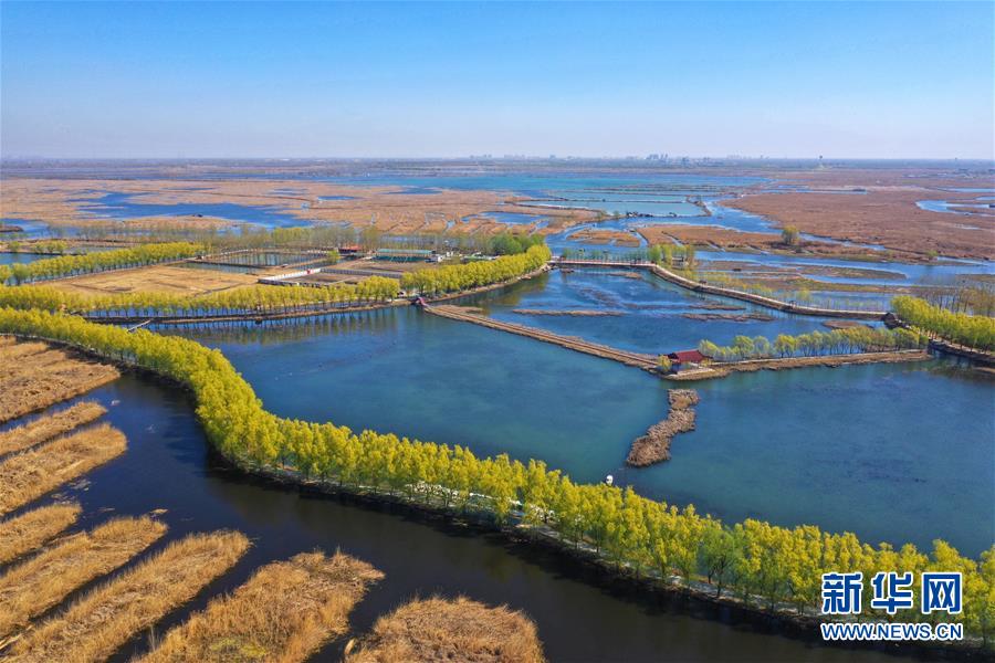 （新華全媒頭條·圖文互動）（5）奮進，向著未來之城！——河北雄安新區(qū)建設發(fā)展兩周年紀實