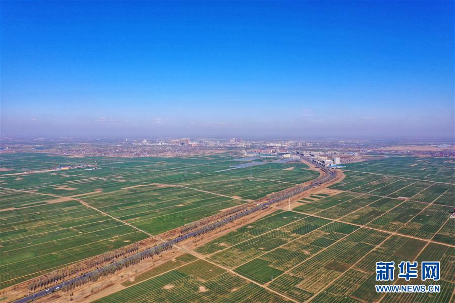 （新華全媒頭條·圖文互動）（6）奮進，向著未來之城！——河北雄安新區(qū)建設發(fā)展兩周年紀實