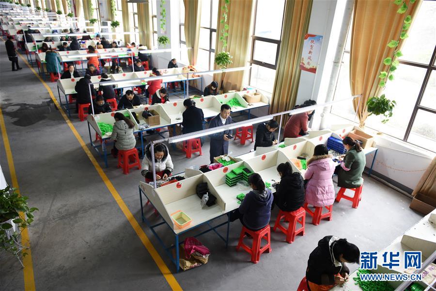 （在習(xí)近平新時(shí)代中國特色社會主義思想指引下——新時(shí)代新作為新篇章·圖文互動）（5）“搬遷到哪里，服務(wù)就延伸到哪里”——貴州推進(jìn)易地扶貧搬遷“后半篇文章” 