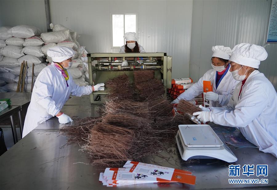 （走基層 聽(tīng)民聲&middot;圖文互動(dòng)）（5）電商扶貧 讓陜西山區(qū)農(nóng)業(yè)擁抱&ldquo;藍(lán)海&rdquo;