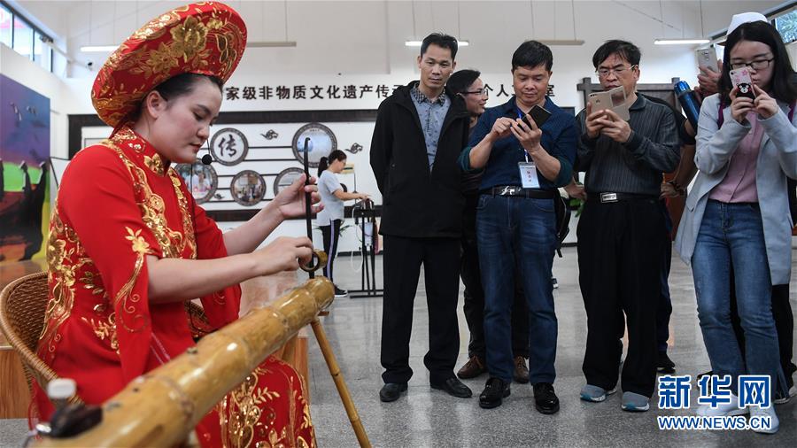 （壯麗70年 奮斗新時代——推動高質(zhì)量發(fā)展調(diào)研行·圖文互動）（6）近海能看鯨魚白海豚，廣西這片濱海旅游勝地啥來頭？