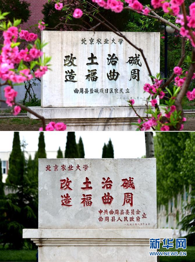 （新華全媒頭條&middot;愛(ài)國(guó)情 奮斗者&middot;圖文互動(dòng)）（2）把論文寫在祖國(guó)的大地上&mdash;&mdash;中國(guó)農(nóng)業(yè)大學(xué)46年扎根河北曲周服務(wù)鄉(xiāng)村振興紀(jì)實(shí)