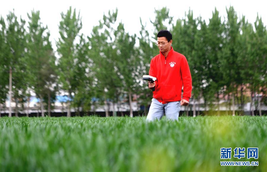 （新華全媒頭條&middot;愛(ài)國(guó)情 奮斗者&middot;圖文互動(dòng)）（5）把論文寫在祖國(guó)的大地上&mdash;&mdash;中國(guó)農(nóng)業(yè)大學(xué)46年扎根河北曲周服務(wù)鄉(xiāng)村振興紀(jì)實(shí)