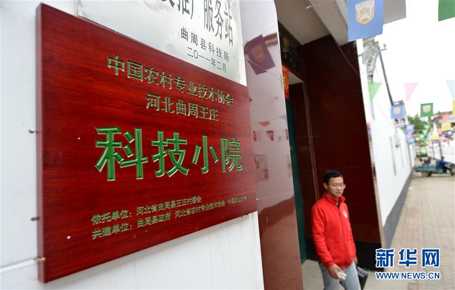 （新華全媒頭條&middot;愛(ài)國(guó)情 奮斗者&middot;圖文互動(dòng)）（11）把論文寫在祖國(guó)的大地上&mdash;&mdash;中國(guó)農(nóng)業(yè)大學(xué)46年扎根河北曲周服務(wù)鄉(xiāng)村振興紀(jì)實(shí)