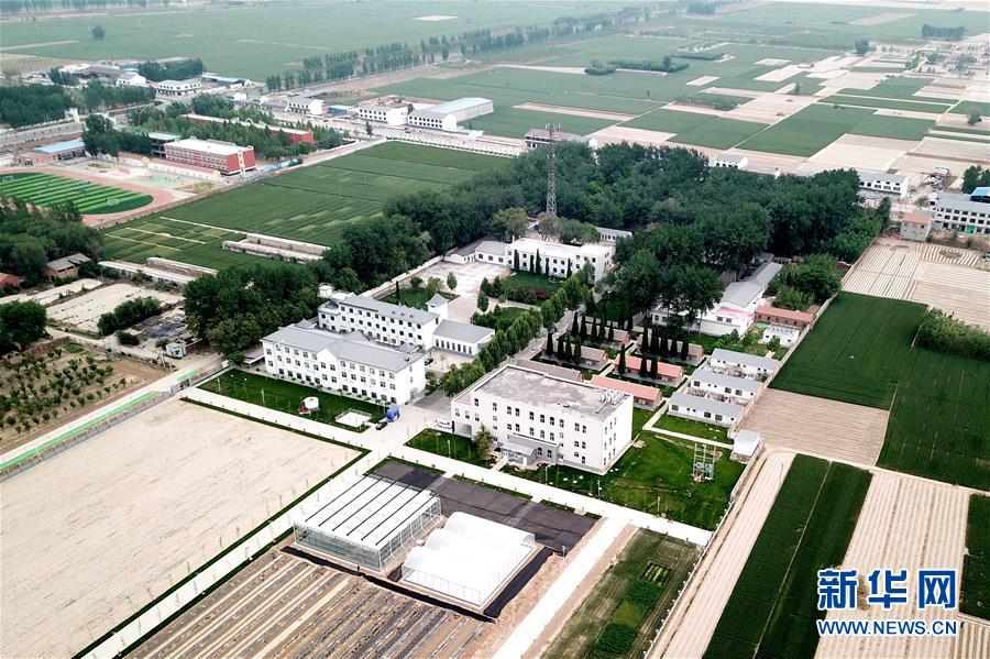 （新華全媒頭條&middot;愛(ài)國(guó)情 奮斗者&middot;圖文互動(dòng)）（12）把論文寫在祖國(guó)的大地上&mdash;&mdash;中國(guó)農(nóng)業(yè)大學(xué)46年扎根河北曲周服務(wù)鄉(xiāng)村振興紀(jì)實(shí)