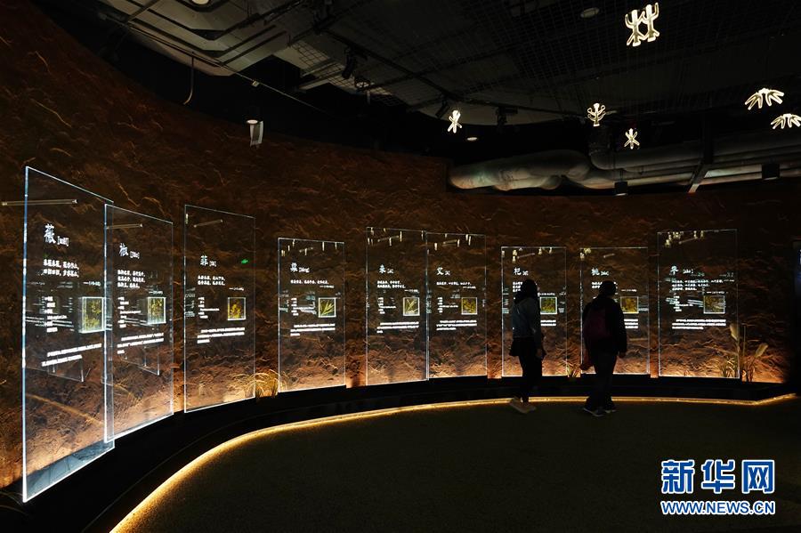 （在習(xí)近平新時(shí)代中國(guó)特色社會(huì)主義思想指引下&mdash;&mdash;新時(shí)代新作為新篇章&middot;圖文互動(dòng)）（4）從世園會(huì)&ldquo;看&rdquo;中國(guó)綠色發(fā)展之路&mdash;&mdash;寫在北京世園會(huì)&ldquo;中國(guó)國(guó)家館日&rdquo;到來(lái)之際