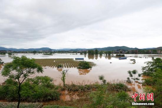 資料圖：湖南省臨武縣武水鎮(zhèn)、南強(qiáng)鎮(zhèn)、汾市鎮(zhèn)、水東鎮(zhèn)、金江鎮(zhèn)等鄉(xiāng)鎮(zhèn)遭遇特大暴雨襲擊，導(dǎo)致大量民房和農(nóng)田被淹。據(jù)不完全統(tǒng)計(jì)，該縣數(shù)千戶民房被淹，數(shù)十萬畝農(nóng)田、果園、煙田被淹斷收，直接經(jīng)濟(jì)損失達(dá)數(shù)千萬元。災(zāi)情發(fā)生后，當(dāng)?shù)卣跋嚓P(guān)部門第一時間奔赴受災(zāi)鄉(xiāng)鎮(zhèn)轉(zhuǎn)移群眾，察看災(zāi)情并積極組織村民排澇自救、發(fā)放救災(zāi)物資、開展保險(xiǎn)理賠等工作。目前救災(zāi)工作正在有序進(jìn)行，無人員傷亡。唐盛歡 攝