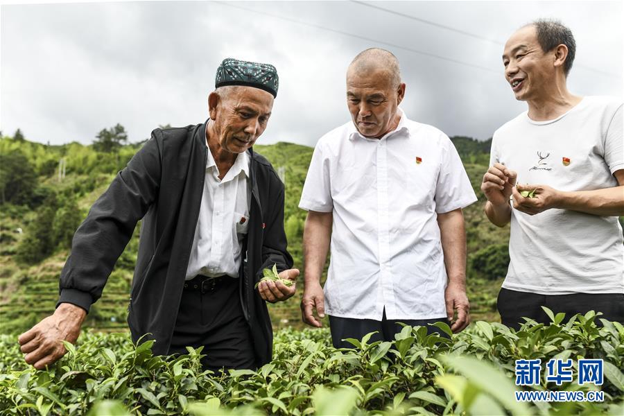 （新華全媒頭條·圖文互動）（7）同心援疆，“壯闊”祖國西北角