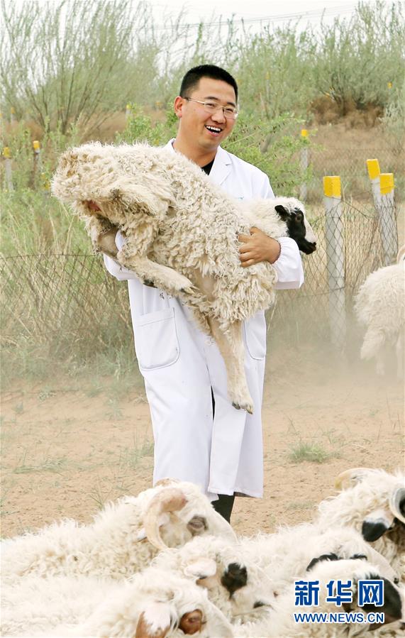 （壯麗70年&middot;奮斗新時(shí)代&mdash;&mdash;共和國發(fā)展成就巡禮&middot;圖文互動(dòng)）（3）生態(tài)美、百姓富&mdash;&mdash;品讀嶄新&ldquo;寧夏畫卷&rdquo;