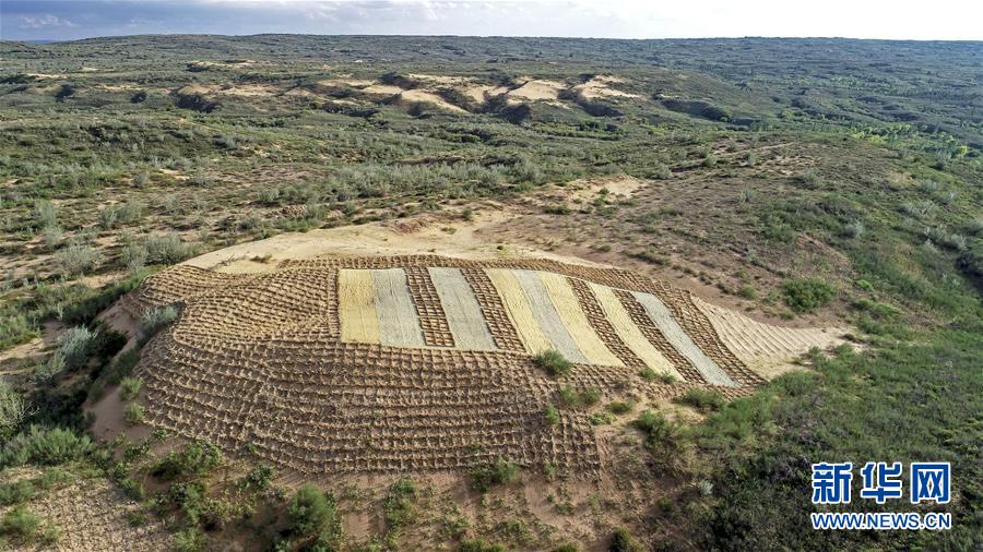 （壯麗70年&middot;奮斗新時(shí)代&mdash;&mdash;共和國發(fā)展成就巡禮&middot;圖文互動(dòng)）（6）生態(tài)美、百姓富&mdash;&mdash;品讀嶄新&ldquo;寧夏畫卷&rdquo;