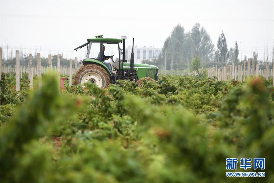 （壯麗70年&middot;奮斗新時(shí)代&mdash;&mdash;共和國發(fā)展成就巡禮&middot;圖文互動(dòng)）（10）生態(tài)美、百姓富&mdash;&mdash;品讀嶄新&ldquo;寧夏畫卷&rdquo;
