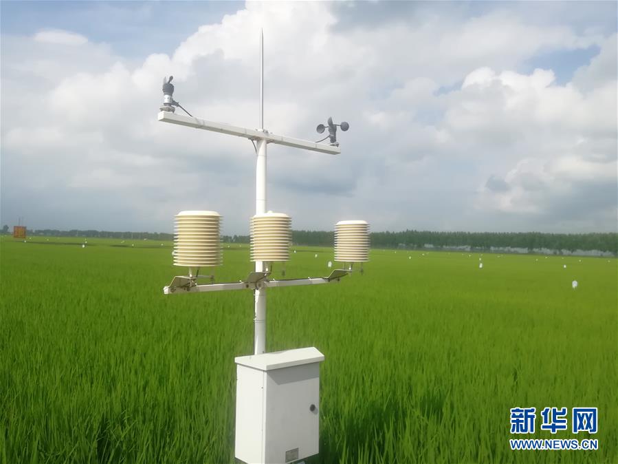 （在習(xí)近平新時(shí)代中國特色社會主義思想指引下——新時(shí)代新作為新篇章·圖文互動）（1）從“靠天吃飯”到“看天管理”——黑龍江創(chuàng)新氣象為農(nóng)服務(wù)體系觀察