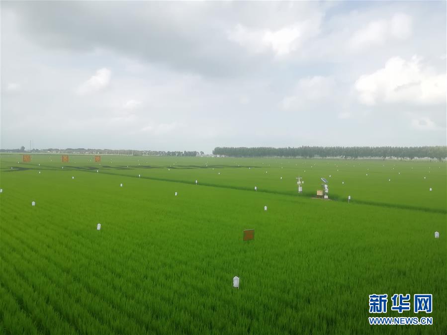 （在習(xí)近平新時(shí)代中國特色社會主義思想指引下——新時(shí)代新作為新篇章·圖文互動）（2）從“靠天吃飯”到“看天管理”——黑龍江創(chuàng)新氣象為農(nóng)服務(wù)體系觀察