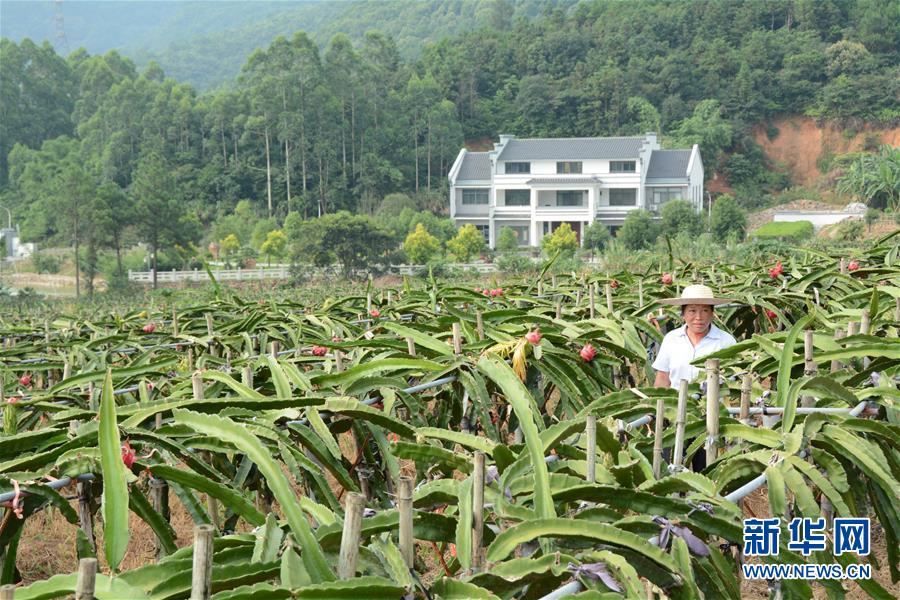 （在習近平新時代中國特色社會主義思想指引下——新時代新作為新篇章·總書記關(guān)心的百姓身邊事·圖文互動）（6）大污染變身“大寶藏”：治理畜禽糞污，他們這樣干！