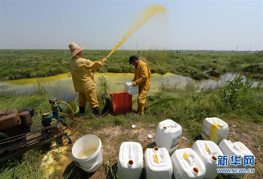 (紅土地“往事新說”·圖文互動(dòng))(7)昔日送“瘟神” 今朝健康促小康