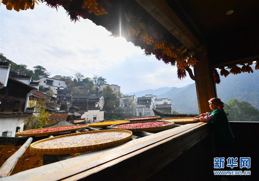 （圖文互動）（5）鄉(xiāng)村攝影師、鄉(xiāng)村“模特”、民宿店主——鄉(xiāng)村旅游推動婺源農(nóng)民生活方式發(fā)生新變化