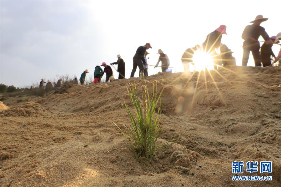 （在習(xí)近平新時(shí)代中國(guó)特色社會(huì)主義思想指引下&mdash;&mdash;新時(shí)代新作為新篇章&middot;總書記關(guān)切高質(zhì)量發(fā)展&middot;圖文互動(dòng)）（4）在藍(lán)天白云下&mdash;&mdash;污染防治攻堅(jiān)戰(zhàn)持續(xù)推進(jìn)