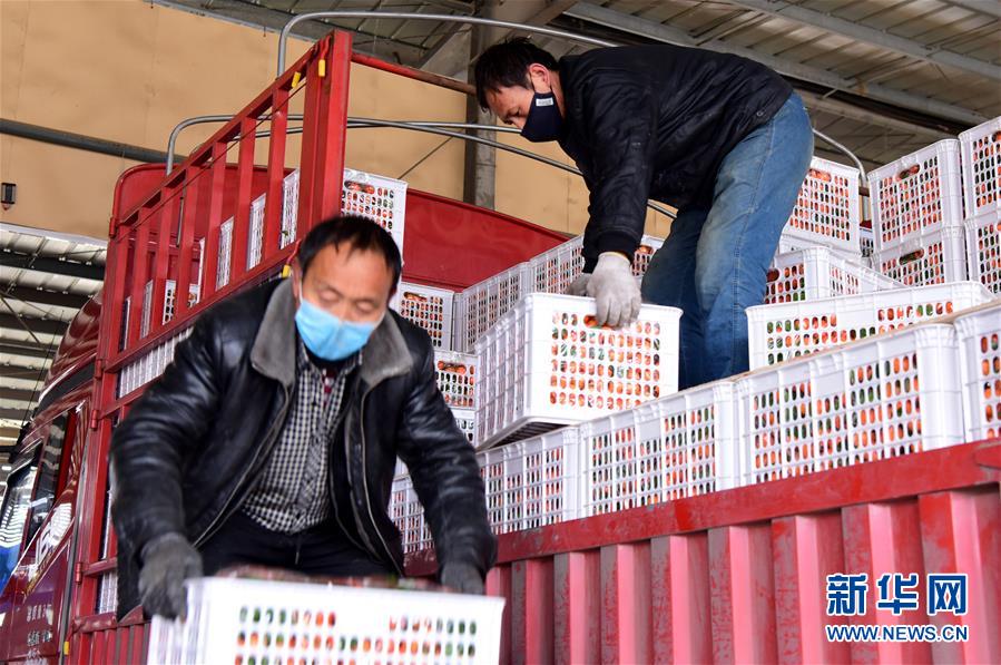 （聚焦疫情防控&middot;圖文互動(dòng)）（5）吃的東西充足，做點(diǎn)花樣菜吧！&mdash;&mdash;中部地區(qū)最大農(nóng)產(chǎn)品批發(fā)市場(chǎng)見聞 